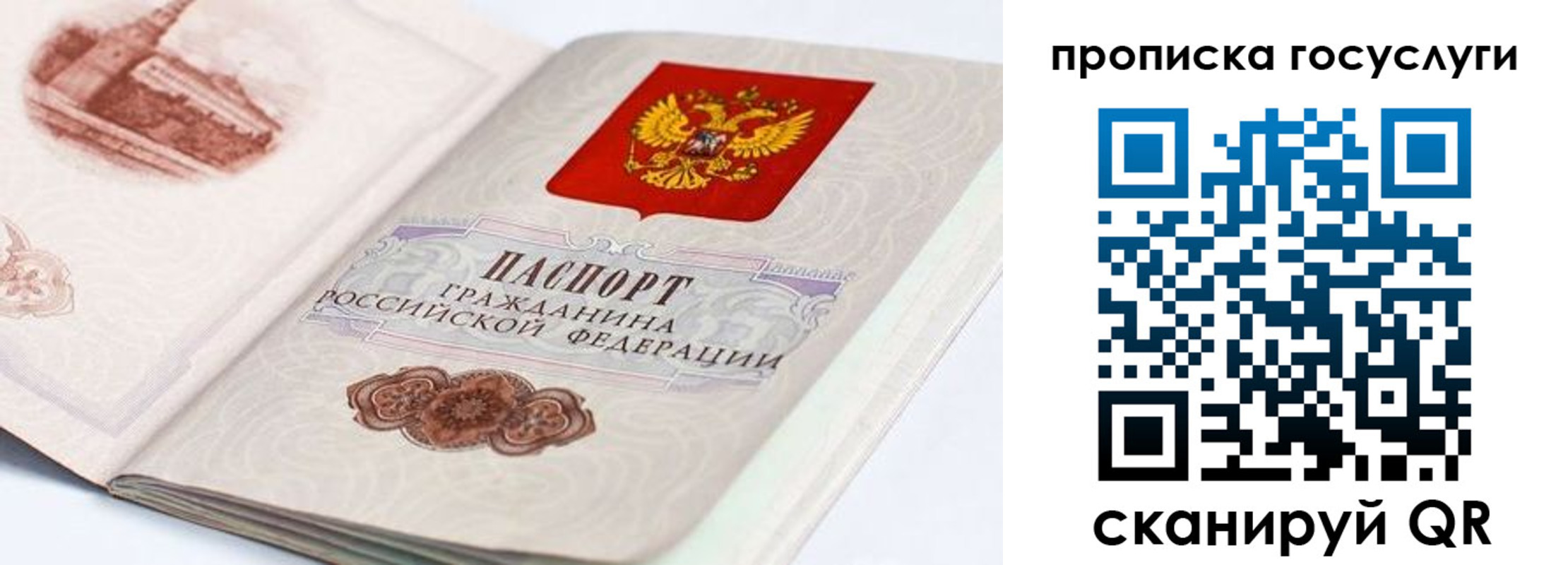 прописка гарантия в Тогучине